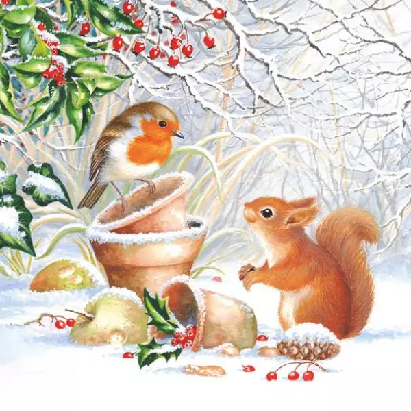20 Servietten Eichhörnchen Vogel im Winter Tiere Winter Weihnachten Robin 33cm