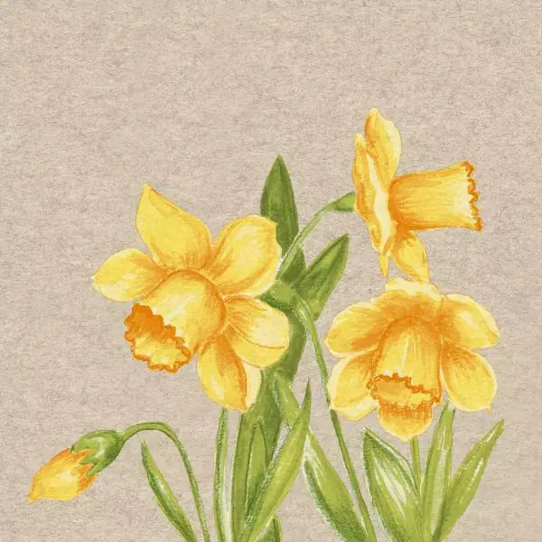 20 Napkins recycling Daffodil 33cm