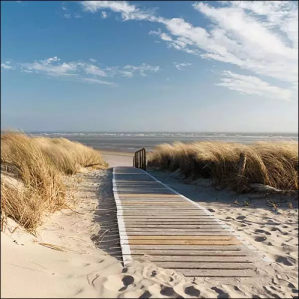 20 napkins Maritime jetty and dune to the beach by the sea as a table decoration 33cm