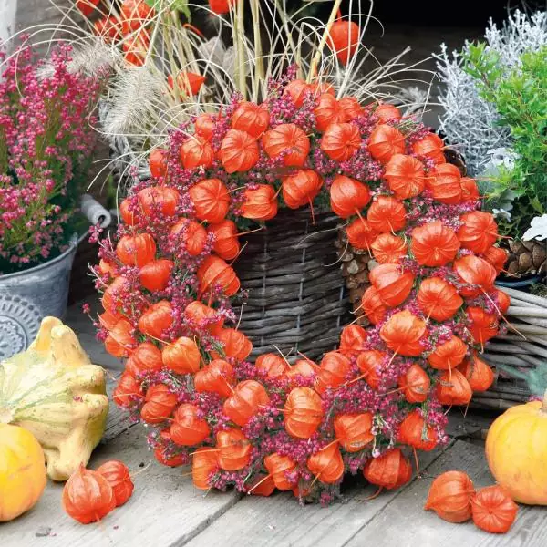 20 Servietten Herbst mit Lampionblumen und Kürbis als Tischdeko 33cm