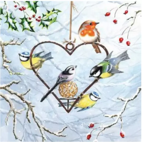 20 napkins birds on the heart in winter robin blue tit 33cm