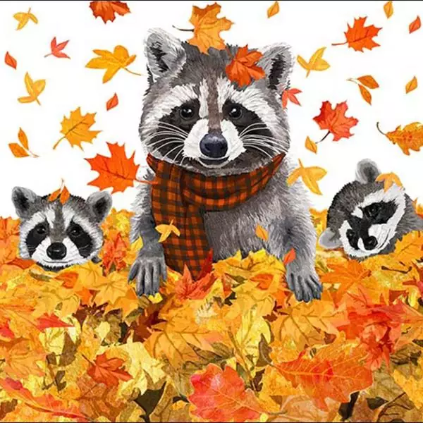 20 Servietten Waschbären spielen im Herbst mit bunten Blättern als Tischdeko