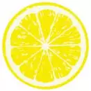 10 Untersetzer aus Karton Zitrone