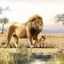 20 Servietten Löwen am Wasser Afrika 33cm
