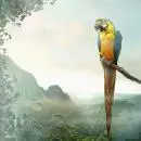 20 Lunch Servietten Papagei Ara Tier Afrika 33cm Parrot