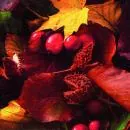20 napkins fruits maple leaf leaves berries autumn motif 33cm