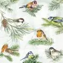 Servietten Vögel Winter 20 Stück – Rotkehlchen, Blaumeise & Spatz