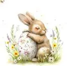 20 Premium Papierservietten 