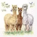 20 napkins of alpacas together on the meadow as friends 33cm as table decorations