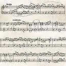 20 Servietten Musik Noten 33cm