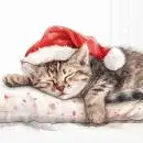 Servietten Weihnachten 20 Stück – Niedliche Katze mit Weihnachtsmütze