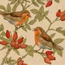 20 napkins robins in autumn with rose hips on recycled paper 33cm