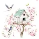 20 Servietten – Vögel im Frühling am Vogelhaus in der Kirschblüte