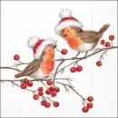 20 napkins winter robin with Santa hat eating berries as table decoration 33cm