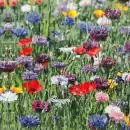 20 napkins colorful flower field meadow nature 33cm