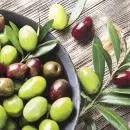20 Servietten Frische Oliven Essen Obst Gemüse 33cm