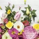 20 Napkins Florals 33x33 cm