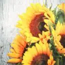 20 napkins Clara - sunflowers summer flowers 33cm