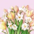 20 Servietten Narzissen und Tulpen auf rosa 33cm