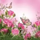 20 Servietten Rosen mit Schmetterlingen rosa im Frühling als Tischdeko 33 cm