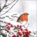 20 Lunch Napkins 33x33 cm Vogel im Winter X-Mas Weihnachten Vogelbeere Schnee Wa...