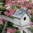 20 Servietten Vogelhaus im Frühling Blütenzweig 33x33 cm