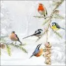 20 Servietten Vögel im Winter am Futterplatz Rotkehlchen Blaumeise als Tischdeko 33cm