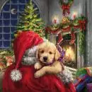 20 Servietten Weihnachtsmann am Kamin mit Hund und Geschenken 33cm
