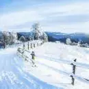 20 Servietten Winter Ski fahren im Schnee Natur Weihnachten 33cm