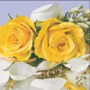 20 napkins yellow roses for wedding and love 33cm as table decoration