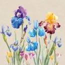 20 Servietten recycling Iris Blumen Sommer 33cm