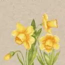 25 Napkins recycling Daffodil 24cm
