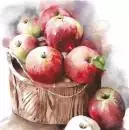 20 napkins ripe apples in a bucket as a table decoration in autumn 33cm