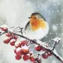 20 Servietten Vogel Robin Rotkehlchen im Winter auf Ast mit Beeren als Tischdeko 33cm