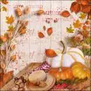20 napkins autumn colorful leaves and robins birds 33cm