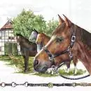 20 Servietten Pferde auf dem Gestüt im Hof 33cm
