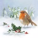 20 napkins robins in winter with holly and snowdrops 33cm